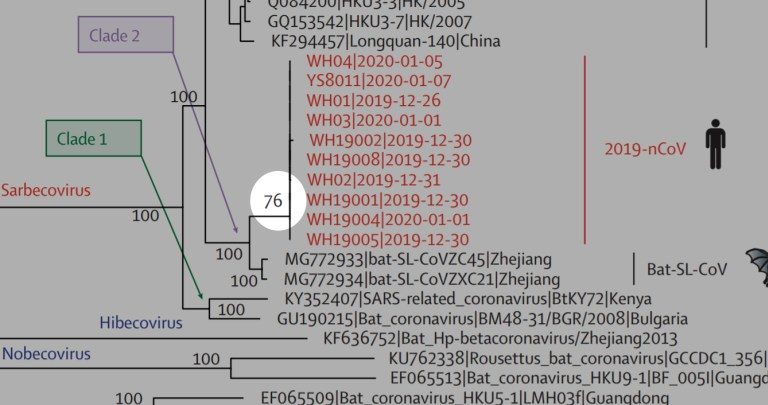 2019-nCoV coronavirus