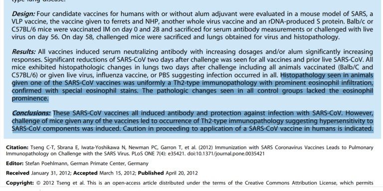 coronavirus SARS-CoV