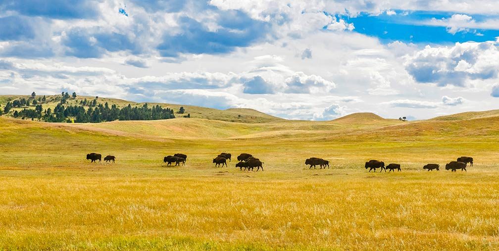 South Dakota
