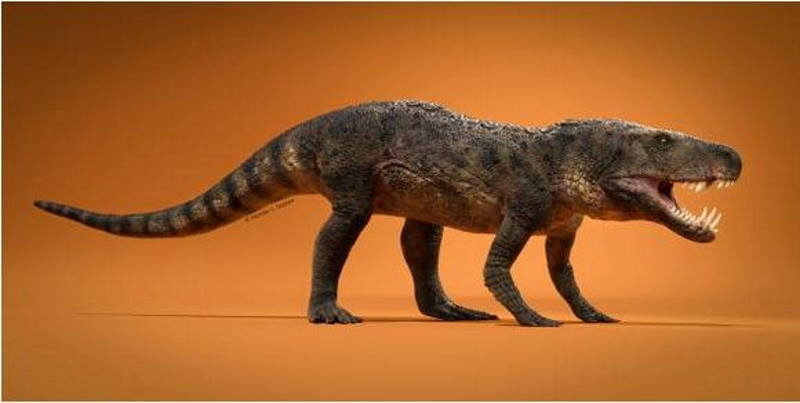 Dynamosuchus collisensi triassic reptile