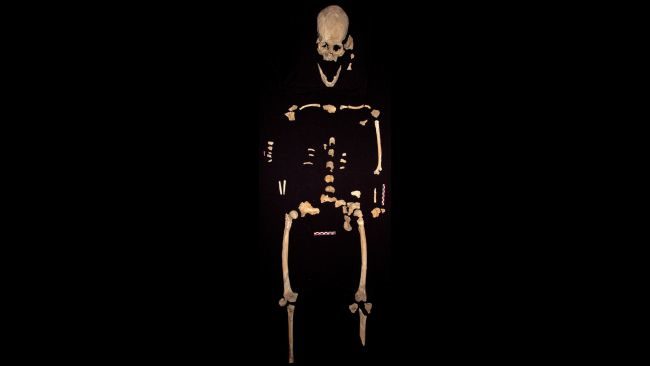 skeleton