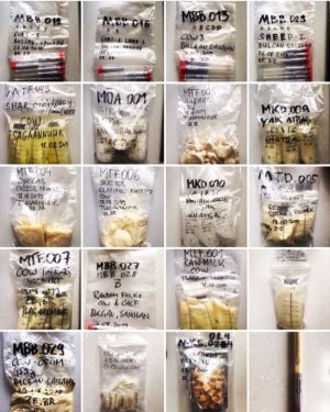 Click to enlarge Heirloom Microbes