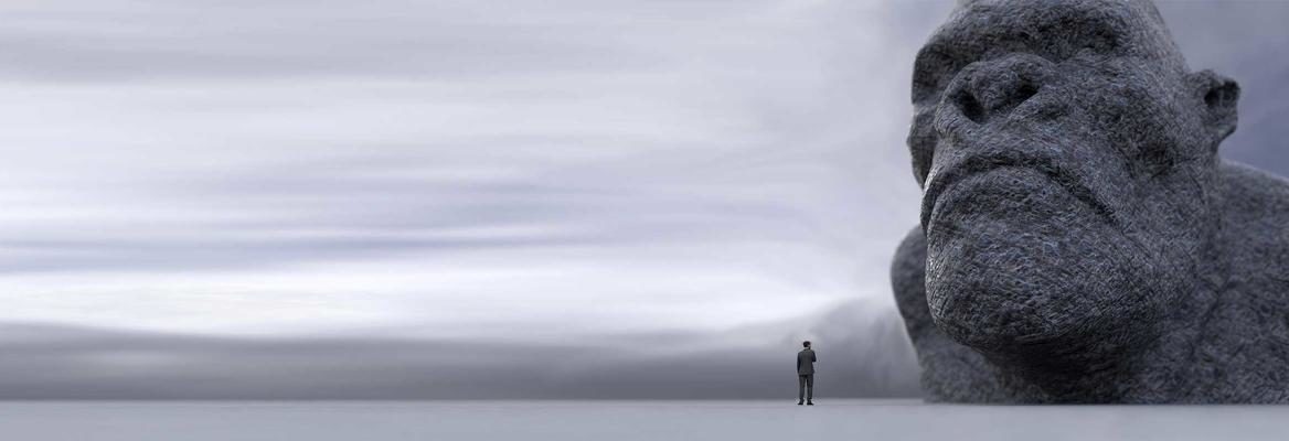 Consciousness Problem