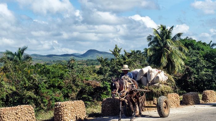 Click to enlarge Cuba farm