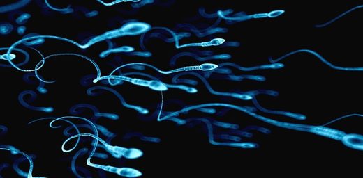 Sperm counts continue to drastically drop in Western men