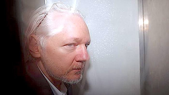 Click to enlarge Assange