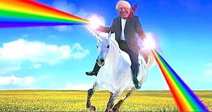 Bernie rainbow