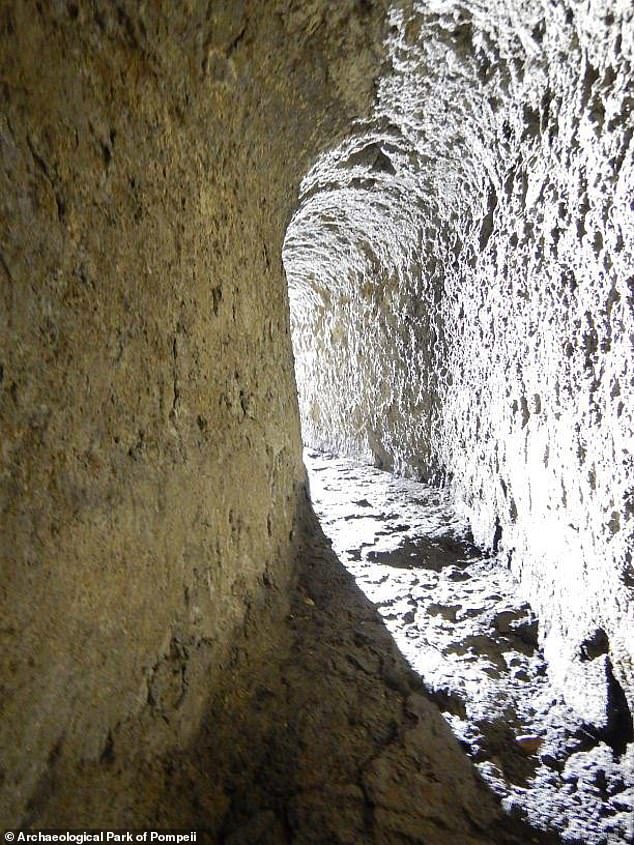 Click to enlarge pompeii drains