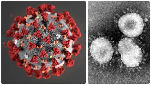 Coronavirus Came From Meteor Which Hit China Last Year, Claims Scientist