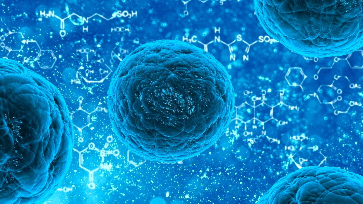 Hope for a Universal Virus Vaccine