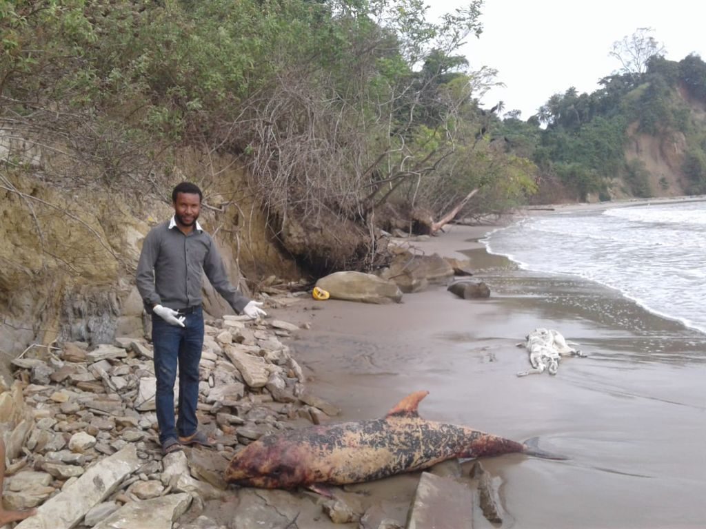 Eric Lewis, curator of the Moruga museum, stands next to a dead whale which washed up at the La Lune beach in Moruga yesterday.