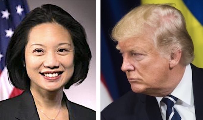 Click to enlarge Jessie Liu/Trump