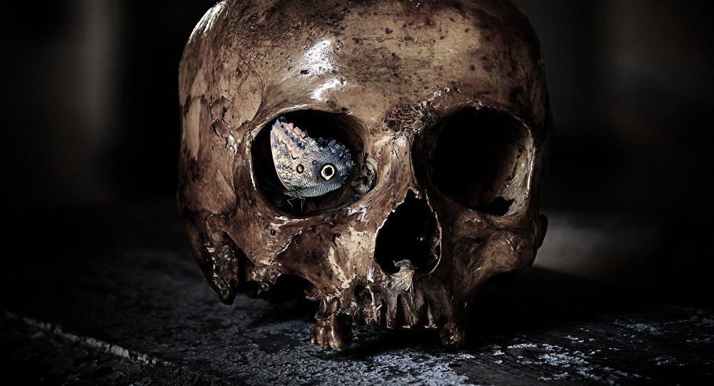 Click to enlarge Ancient Skull