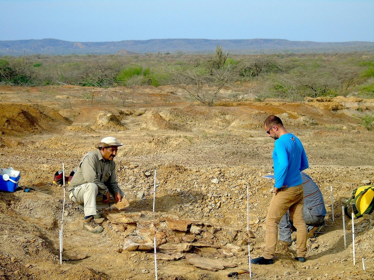 Click to enlarge paleontologists