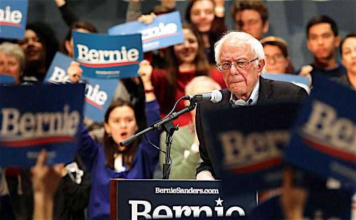 Click to enlarge Bernie