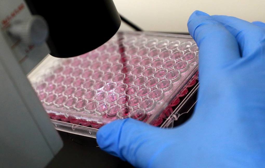Cancer protein