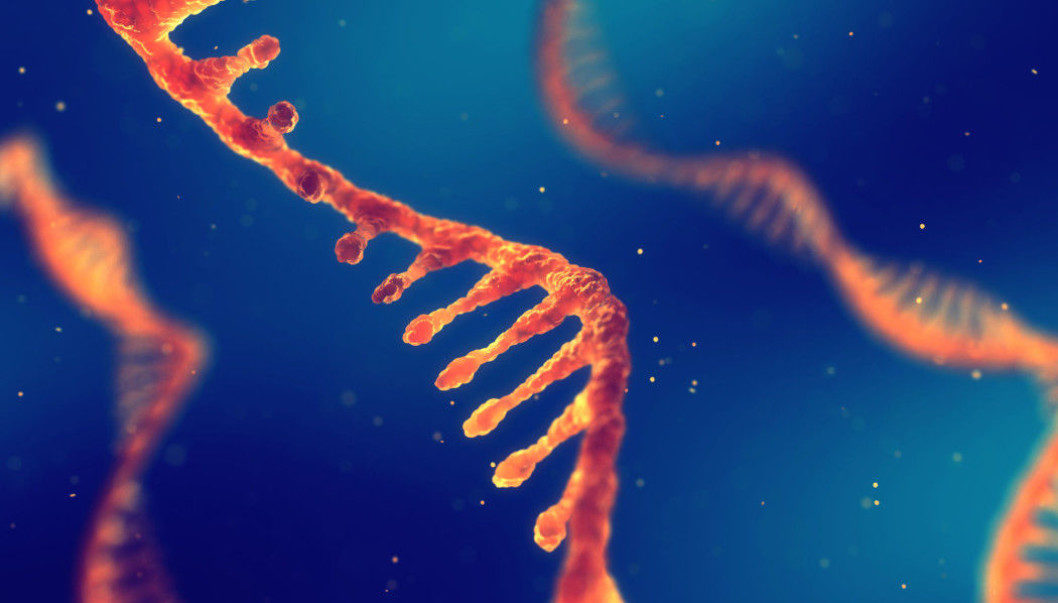 RNA Has New Layer