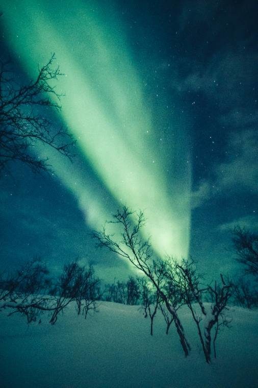 aurora