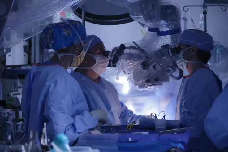 head transplants