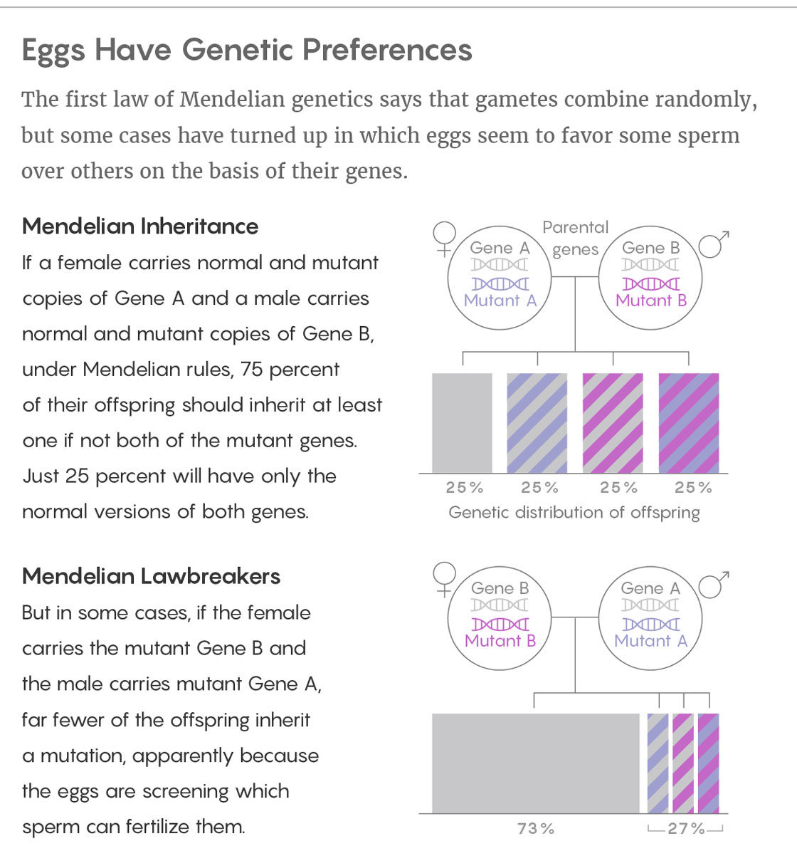 egg genetic preferences