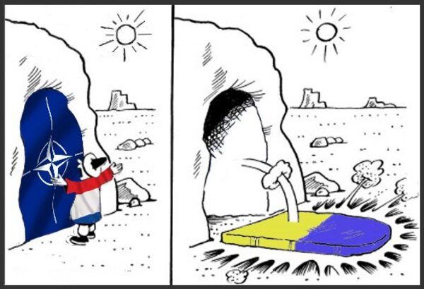 Click to enlarge helmer carton