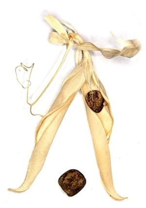 Click to enlarge Wild Legumes