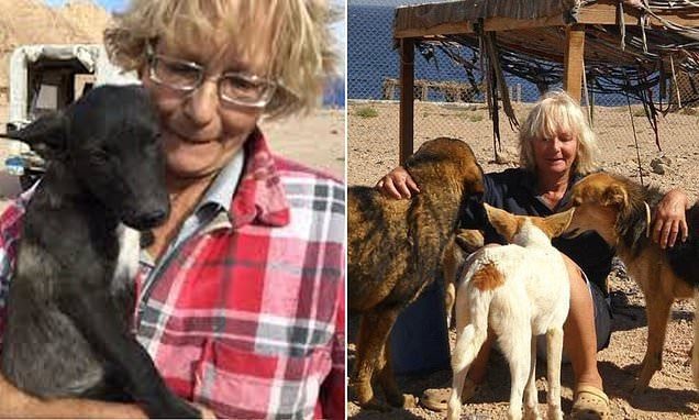 Police fear British woman was mauled to death by stray dogs