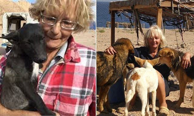 Click to enlarge Police fear British woman was mauled to death by stray dogs