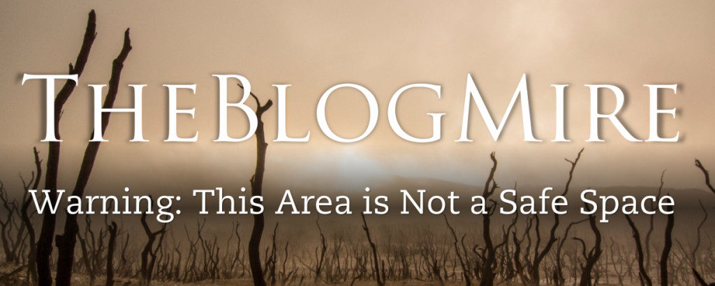 blogmire