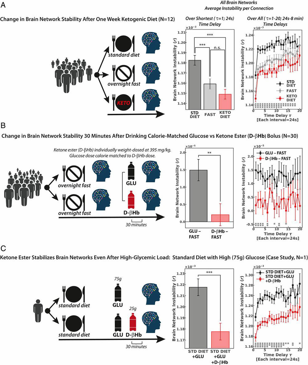 Click to enlarge low carb brain study