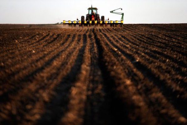 farmers