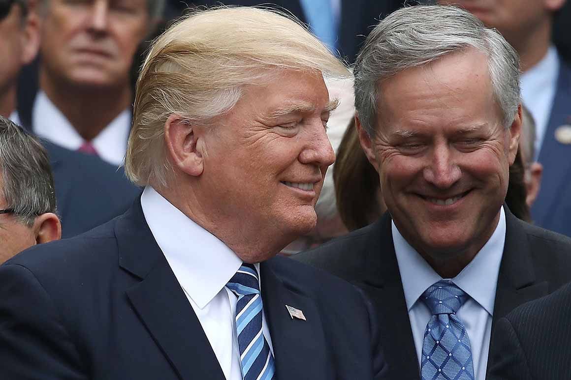 trump meadows