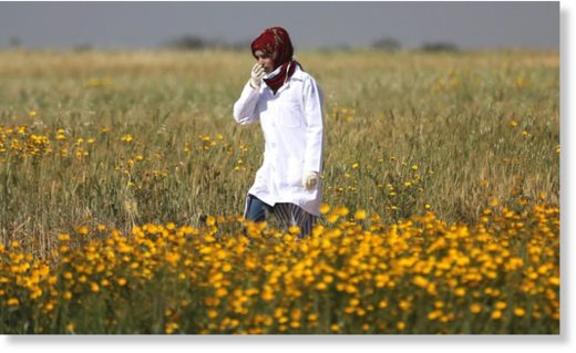 Click to enlarge Palestinain medic Razan al-Najjar