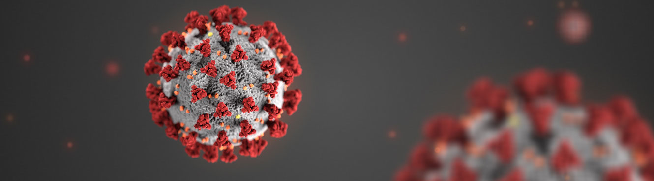 Click to enlarge coronavirus