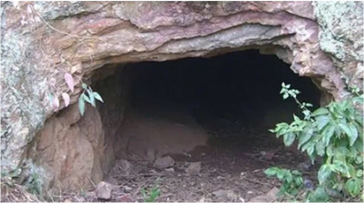 cAVE