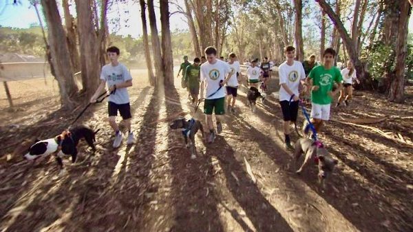 Cross Country Team