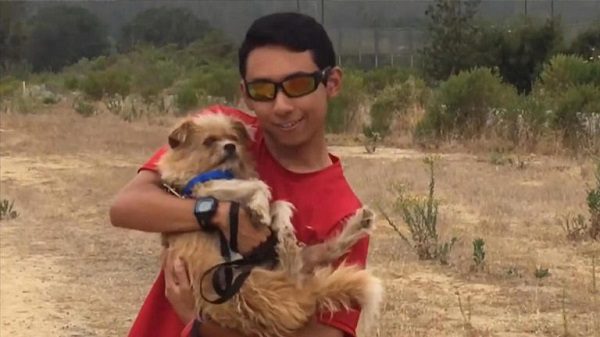 Boy with dog
