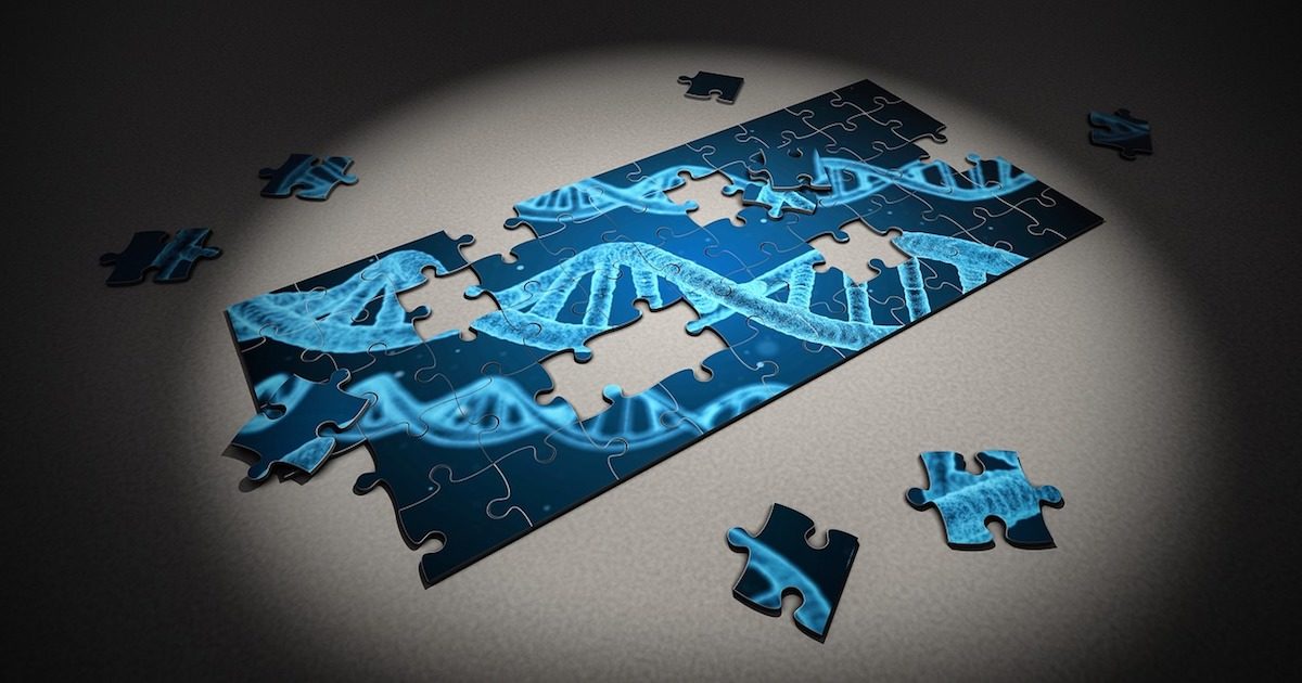 Click to enlarge dna puzzle evolution