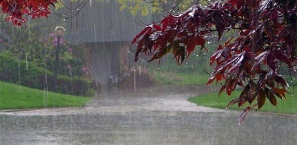 Rainy day
