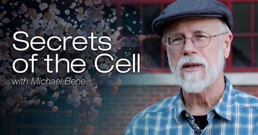 Behe secrets of the cell