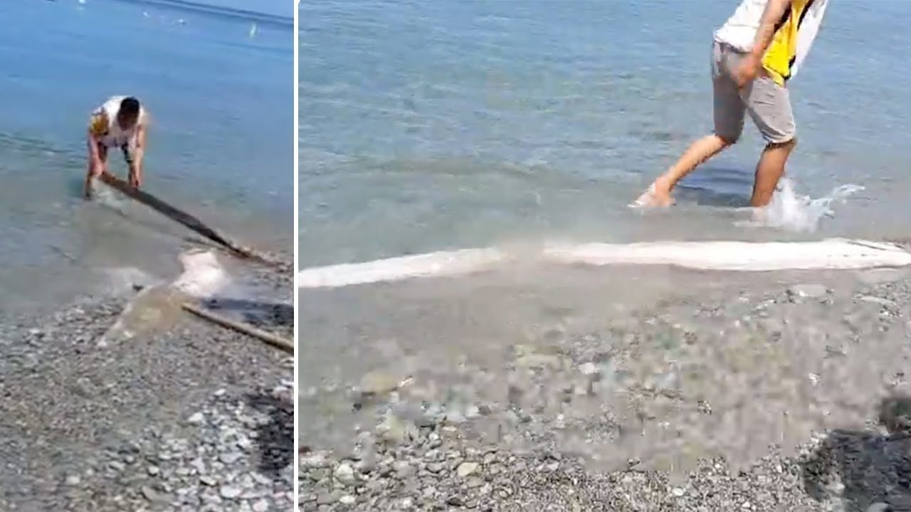 Rare oarfish washes ashore in the Philippines on March 3, 2020. Picture via Youtube video