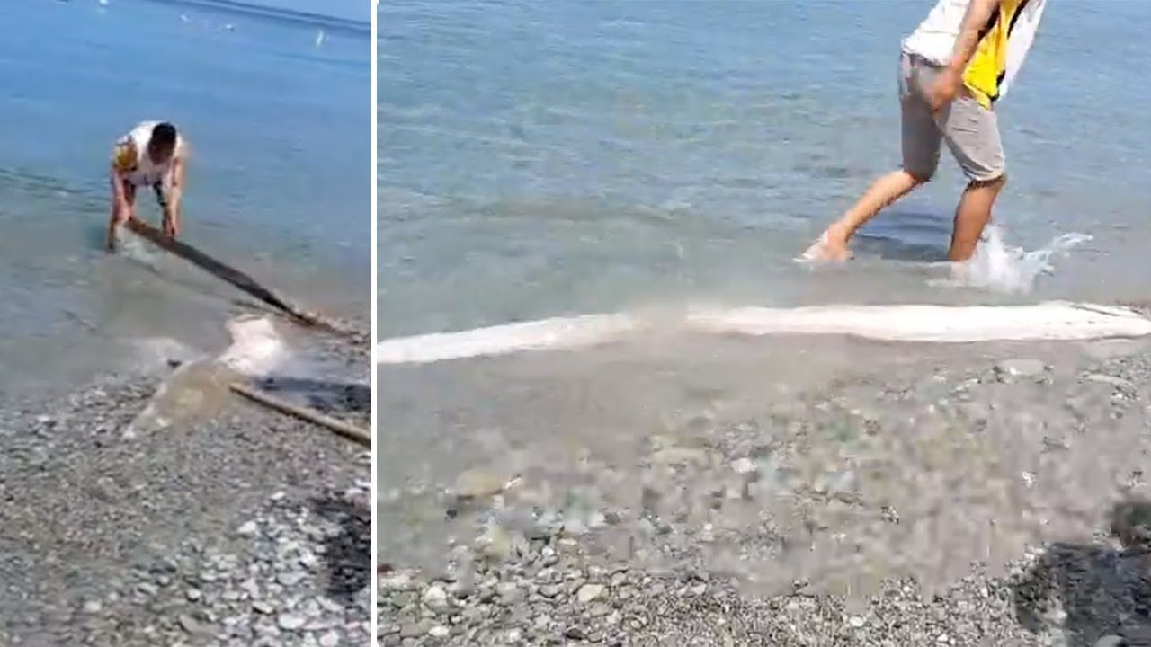Click to enlarge Rare oarfish washes ashore in the Philippines on March 3, 2020. Picture via Youtube video