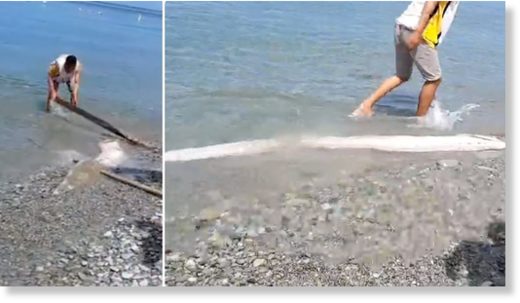 Rare oarfish washes ashore in the Philippines on March 3, 2020. Picture via Youtube video
