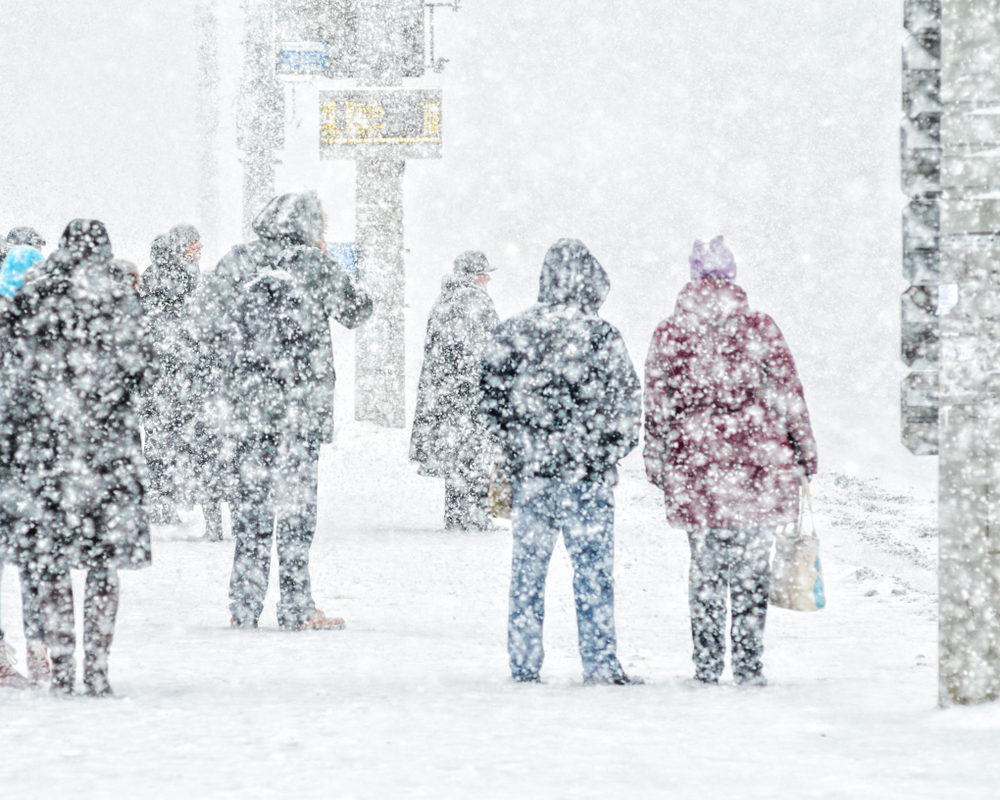 Click to enlarge snow