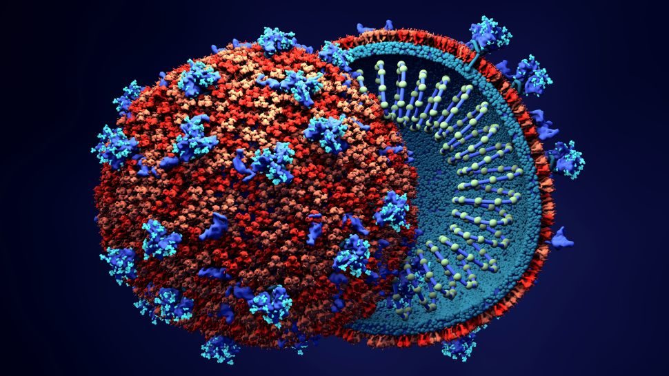 Click to enlarge coronavirus