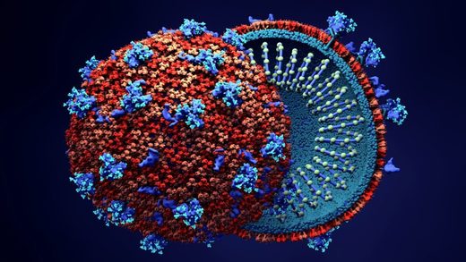 Click to enlarge coronavirus
