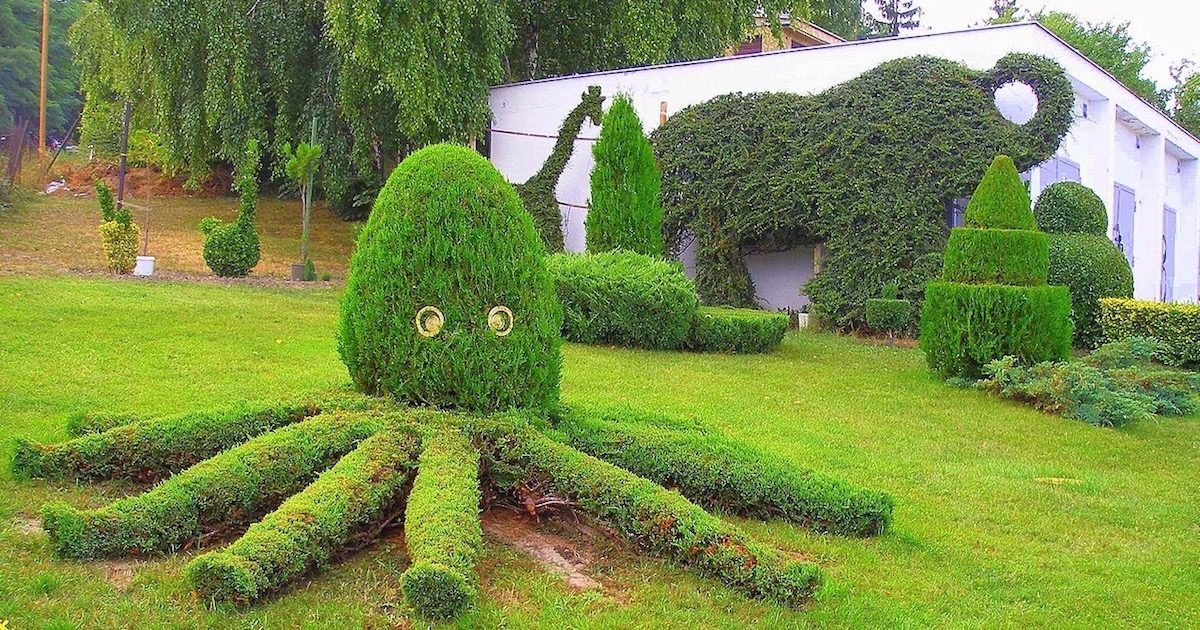 topiary octopus plant garden