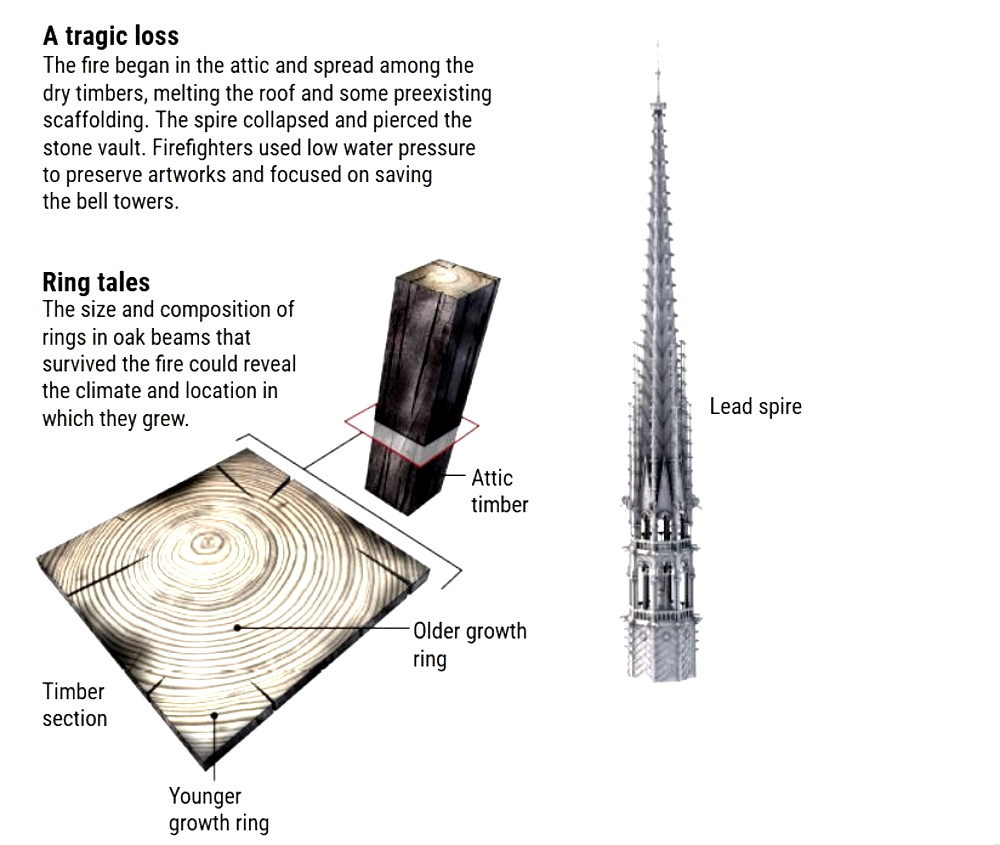 Click to enlarge notre dame restoration spire timber