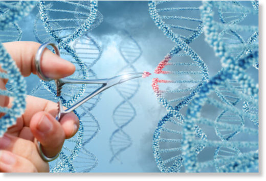 gene editing