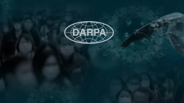 darpa gene editing